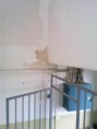 /album/strecha-2011/strecha-katovicka-16-jpg1/